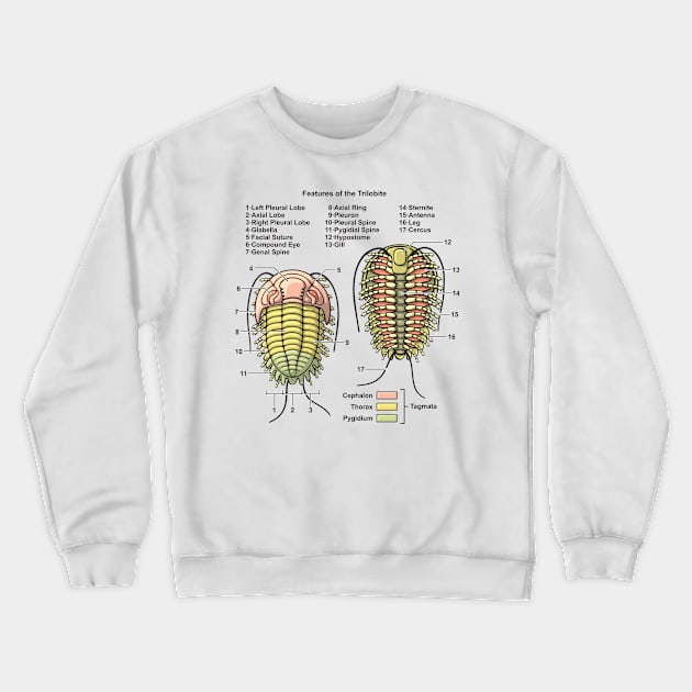 Trilobite Morphology Diagram Crewneck Sweatshirt by taylorcustom